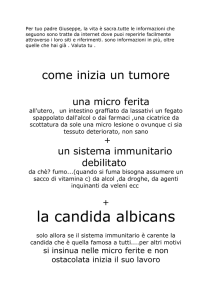 (vitamina C) di potassio, conseguii i primi riscontri