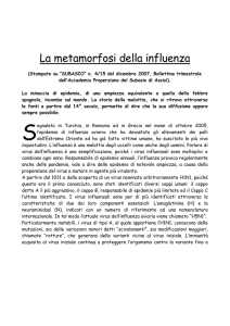 La metamorfosi dell`influenza