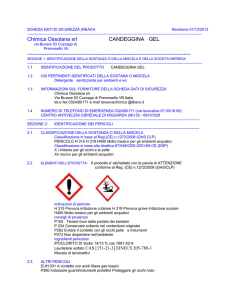 SCHEDA DATI DI SICUREZZA (REACH Revisione 01/12/2013