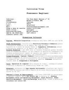 Curriculum Vitae Francesco Bagliani