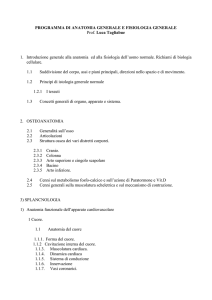 programma di anatomia generale e fisiologia generale