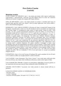 Pero Estivo Casetta (varietà) Relazione tecnica CENNI STORICI ED
