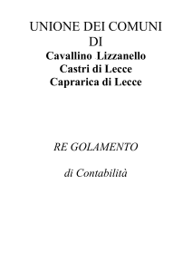 Regolamento di Contabilità - Agenzia di Assistenza Tecnica agli