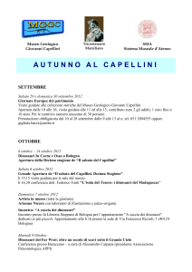Info: Museo Geologico Giovanni Capellini - Via
