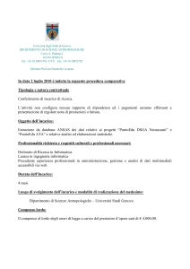 Oggetti Ricerca Provincia di Torino