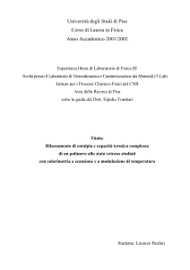 Pardini calorimetria - Dipartimento di Fisica