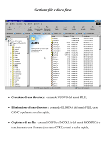 Fasi della gestione di un file WORD