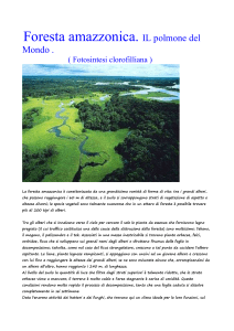Foresta amazzonica - IHMC Public Cmaps (3)