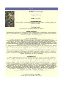 papaia - Farmacia S. Antonio – Brescia