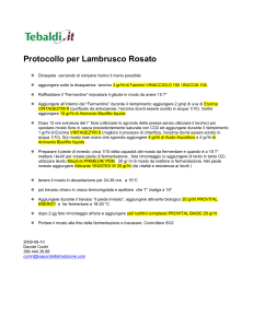 Protocollo Lambrusco Rosato