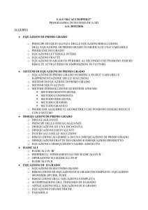 programma di matematica iie