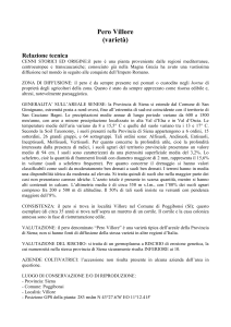 Pero Villore (varietà) Relazione tecnica CENNI STORICI ED