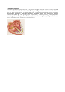 fibrillazione ventricolare rev