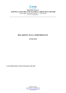 Relazione Performance_2015