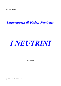 I neutrini()