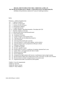 schema di ordinamento didattico di un corso di laurea