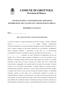 schema di contratto - Bandi Regione Basilicata