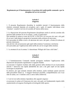 Articolo 13 - Comune di Bologna