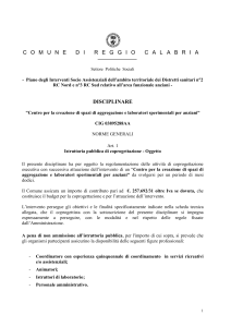 Disciplinare - Città di Reggio Calabria