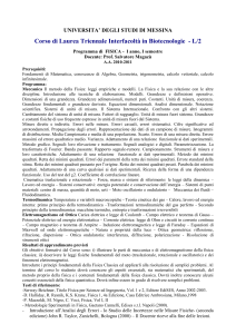 C.I.FISICA - Universita` degli Studi di Messina