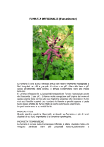 FUMARIA OFFICINALIS (Fumariaceae)