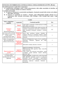 Lezioni ed esercitazioni