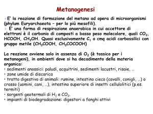 Lezione 2a Metanogenesi Archivo