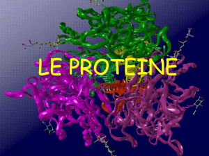 Proprietà funzionali delle proteine