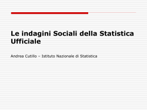 Istituto Nazionale di Statistica Roma, 27 febbraio 2009