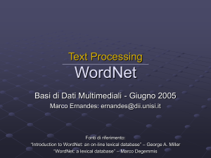 WordNet(30/06/05)