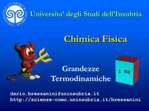 Densita - Università degli Studi dell`Insubria