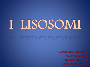 I Lisosomi - Medicina Unict