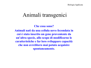Animali transgenici