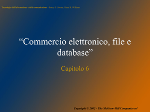 Commercio elettronico, file e database