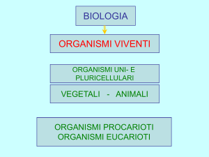 Molecole biologiche File