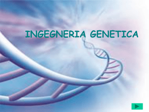ingegneria genetica