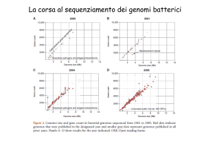 Nessun titolo diapositiva - e