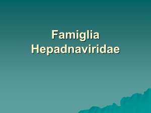 Famiglia Hepadnaviridae (Giammona)