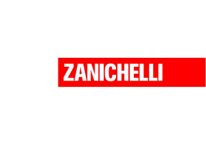 Presentazione di PowerPoint - Zanichelli online per la scuola