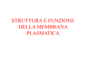 struttura e funzione della membrana plasmatica