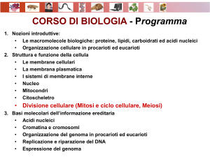 la divisione cellulare