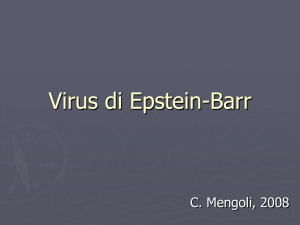 Virus di Epstein-Barr
