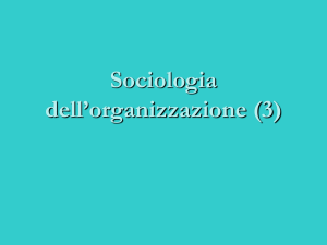 Sociologia dell`organizzazione (3)