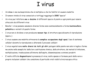 i virus fitopatogeni e lRNA silencing - e