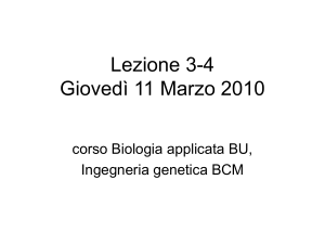 Lez_3-4_BioIng_11-3-10 - Università degli Studi di Roma "Tor
