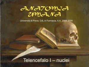 Lezione 20 - Università di Pavia