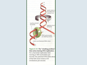 Farmaci che interferiscono con le DNA topoisomerasi