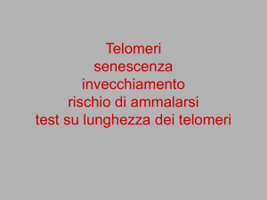 telomero
