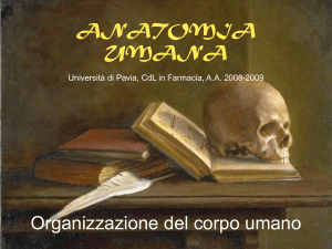 Lezione 6 - Università di Pavia