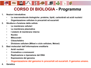 organizzazione del genoma umano